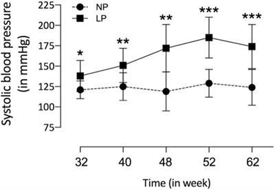 Transcriptome and morphological analysis on the heart in gestational protein-restricted aging male rat offspring